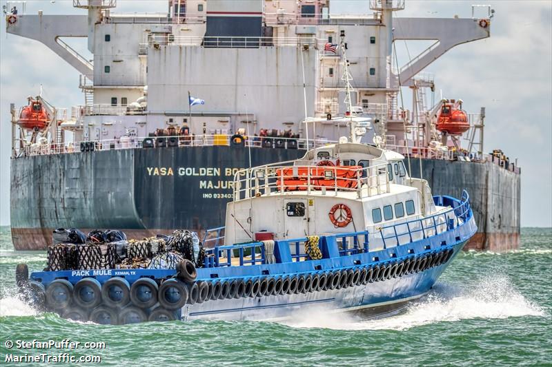 pack mule (HSC) - IMO , MMSI 366822520, Call Sign WDK4019 under the flag of United States (USA)