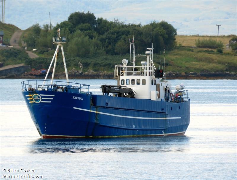 havgull (Cargo ship) - IMO , MMSI 235008127, Call Sign VQFS3 under the flag of United Kingdom (UK)