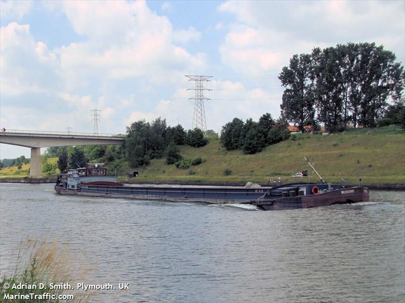 muscari (Cargo ship) - IMO , MMSI 205339590, Call Sign OT3395 under the flag of Belgium