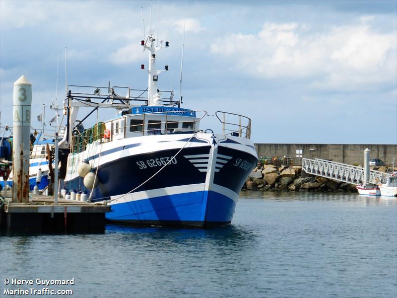 balbuzard (Fishing vessel) - IMO , MMSI 227116300, Call Sign FHXN under the flag of France