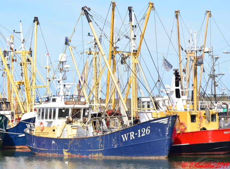 wr 126 vertrouwen (Fishing Vessel) - IMO 8431798, MMSI 246338000, Call Sign PIPD under the flag of Netherlands