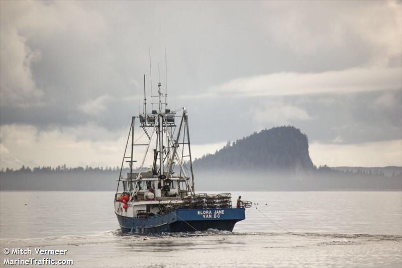 elora jane (Fishing vessel) - IMO , MMSI 316036041 under the flag of Canada