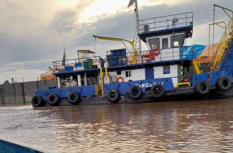 em tangara i (Port tender) - IMO , MMSI 710000713, Call Sign PR9234 under the flag of Brazil